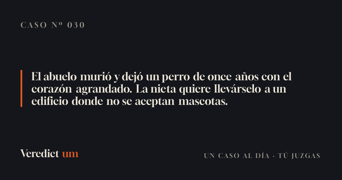 El abuelo murió y dejó un perro de once años con el corazón agrandado. La nieta quiere llevárselo a un edificio donde no se aceptan mascotas.